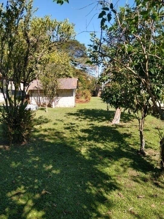 Fazenda à venda com 3 quartos, 1000m² - Foto 3